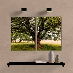 Kit Quadros Decorativos Árvore no Campo - imagem 6