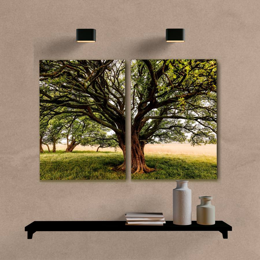 Kit Quadros Decorativos Árvore no Campo - imagem 6