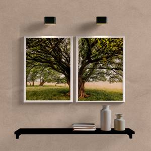 Kit Quadros Decorativos Árvore no Campo - detalhe da moldura e acabamento