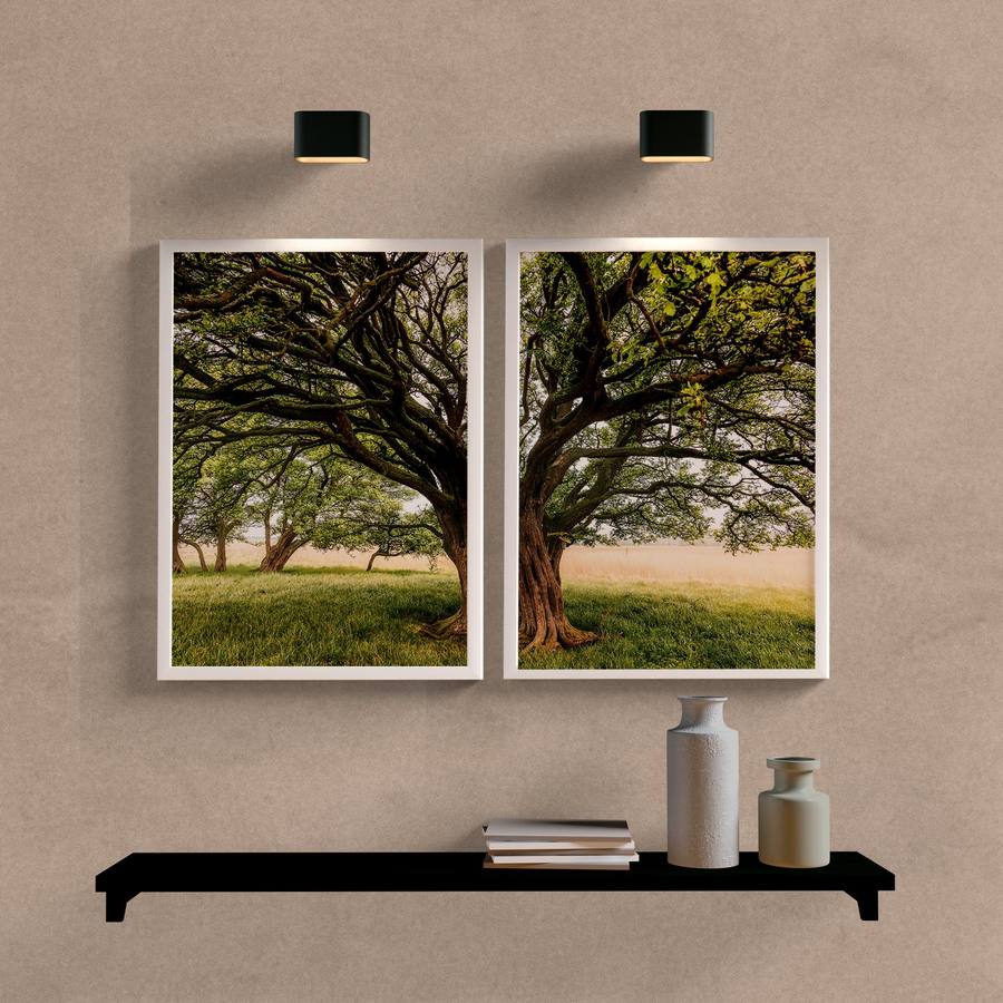 Kit Quadros Decorativos Árvore no Campo - detalhe da moldura e acabamento