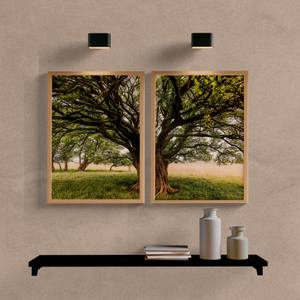 Kit Quadros Decorativos Árvore no Campo - vista aproximada da impressão