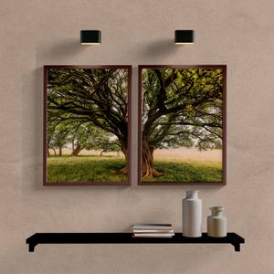 Kit Quadros Decorativos Árvore no Campo - imagem 5