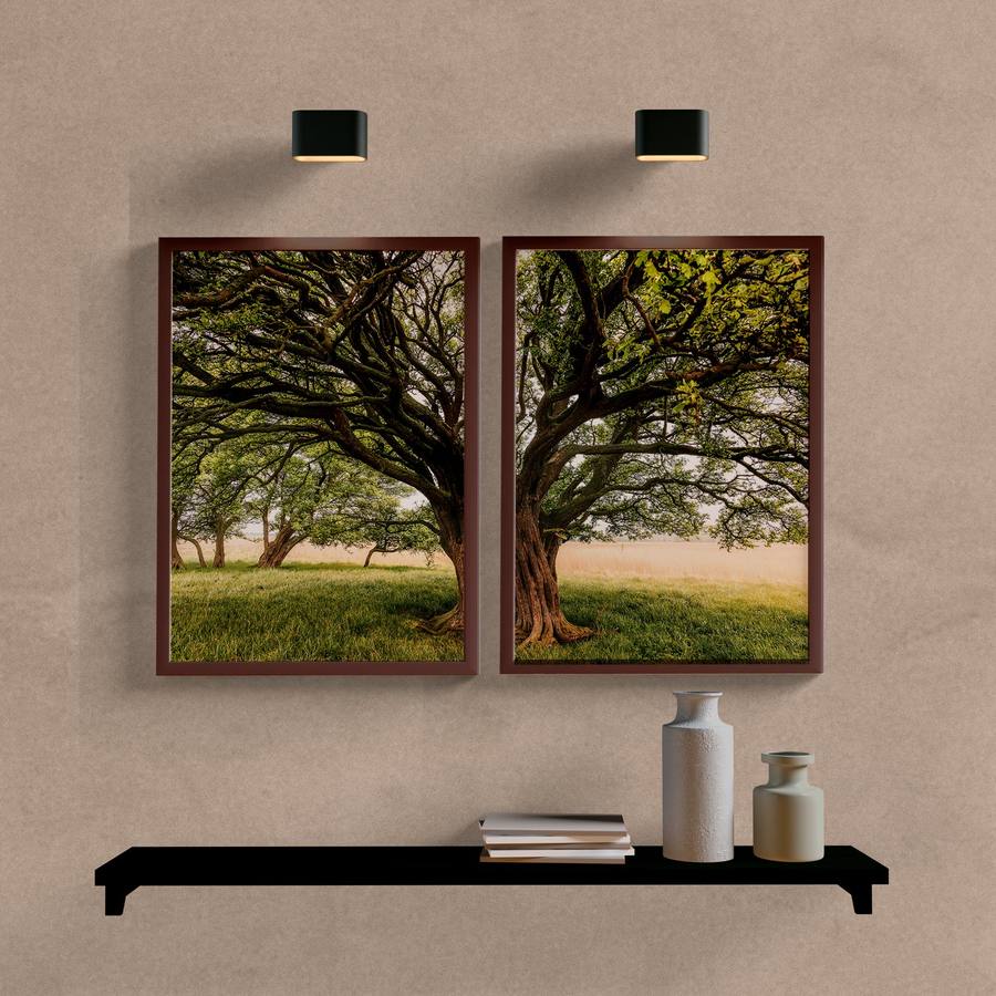 Kit Quadros Decorativos Árvore no Campo - imagem 5