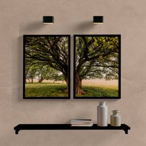Kit Quadros Paisagem Arvore
