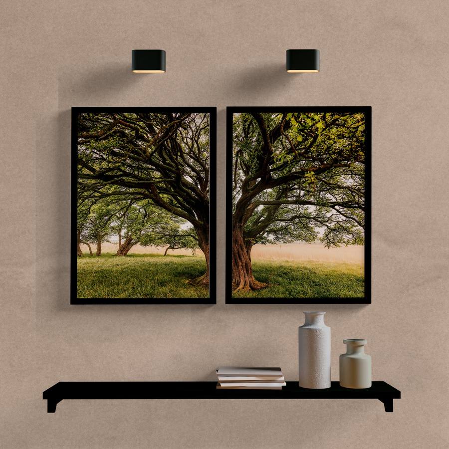 Kit Quadros Paisagem Arvore