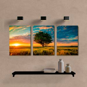 Kit Quadros Decorativos Árvore no Campo - imagem 6