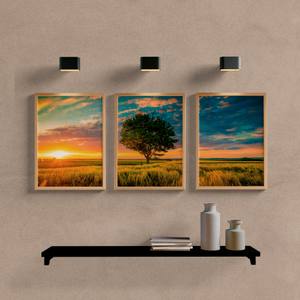 Kit Quadros Decorativos Árvore no Campo - vista aproximada da impressão