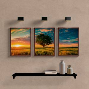 Kit Quadros Decorativos Árvore no Campo - imagem 5