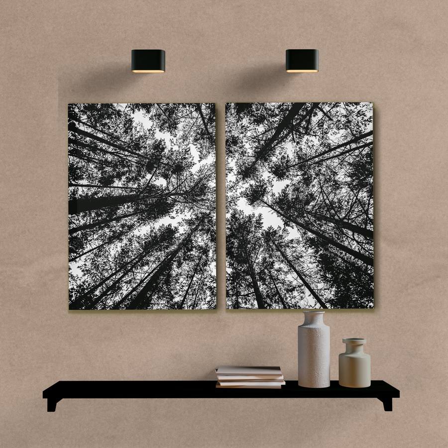 Kit Quadros Decorativos Arvores Preto e Branco - imagem 5