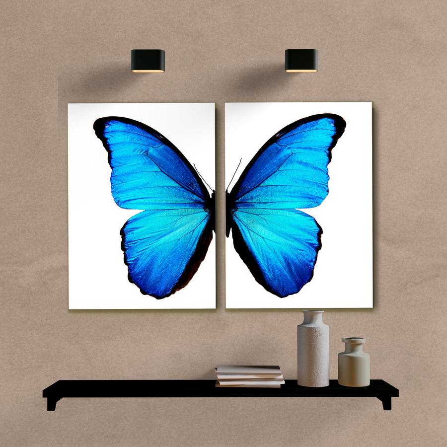 Kit Quadros Decorativos Borboleta Azul - imagem 5