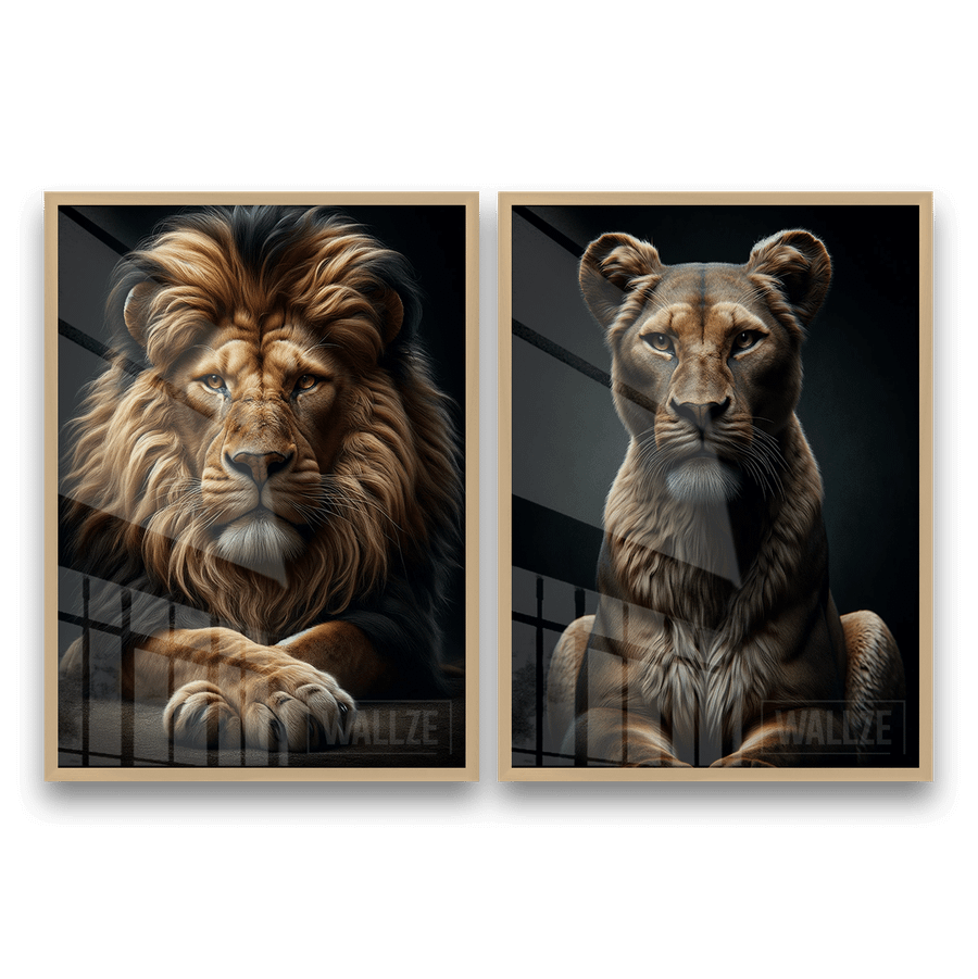 Kit Quadros Decorativos Casal de Leões - imagem 8
