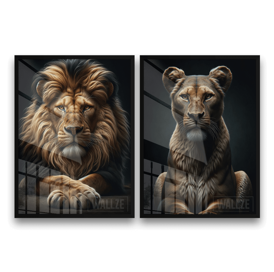 Kit Quadros Decorativos Casal de Leões - imagem 7