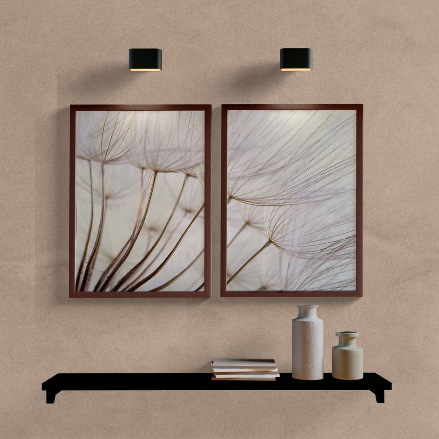 Kit Quadros Decorativos Dente de Leão - imagem 5