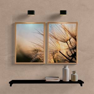 Kit Quadros Decorativos Dente de Leão - vista aproximada da impressão