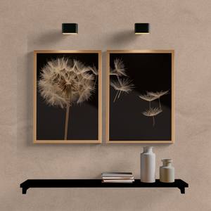 Kit Quadros Decorativos Dente de Leão Fundo Escuro - vista aproximada da impressão