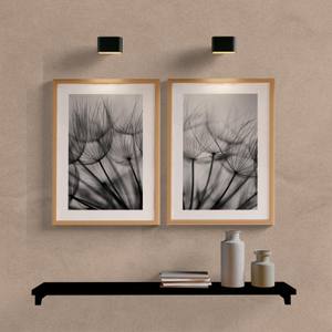 Kit Quadros Decorativos Dente de Leão P&B - vista aproximada da impressão