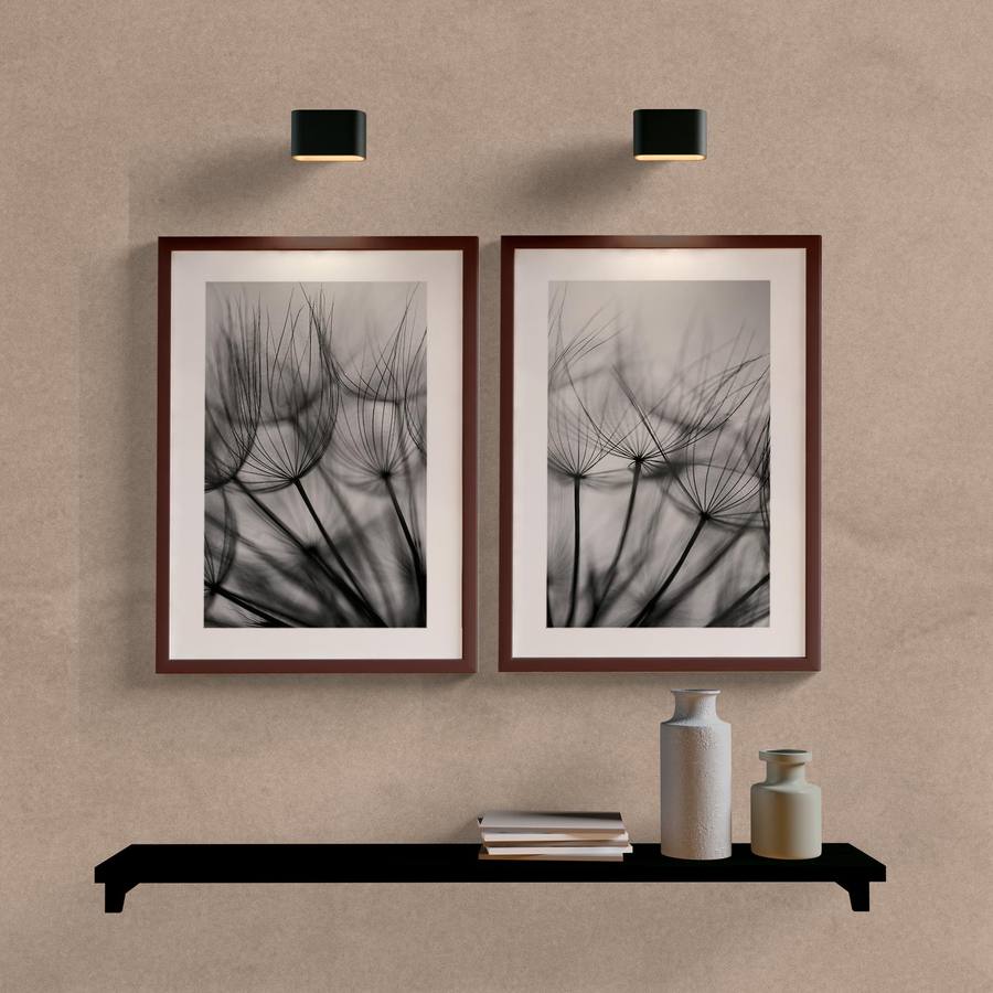 Kit Quadros Decorativos Dente de Leão P&B - imagem 5