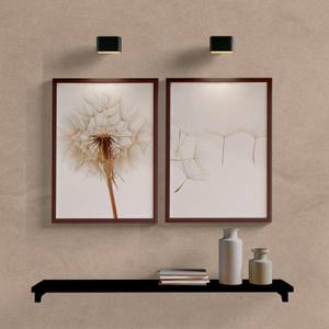 Kit Quadros Decorativos Dente de Leão Solo - imagem 5