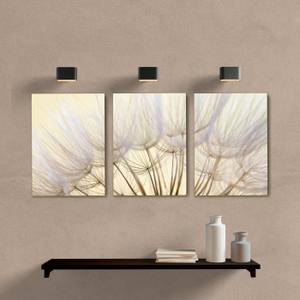 Kit Quadros Decorativos Dente de Leão - quadro decorativo em ambiente decorado