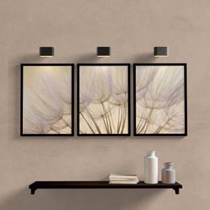 Kit Quadros Decorativos Dente de Leão - detalhe da moldura e acabamento