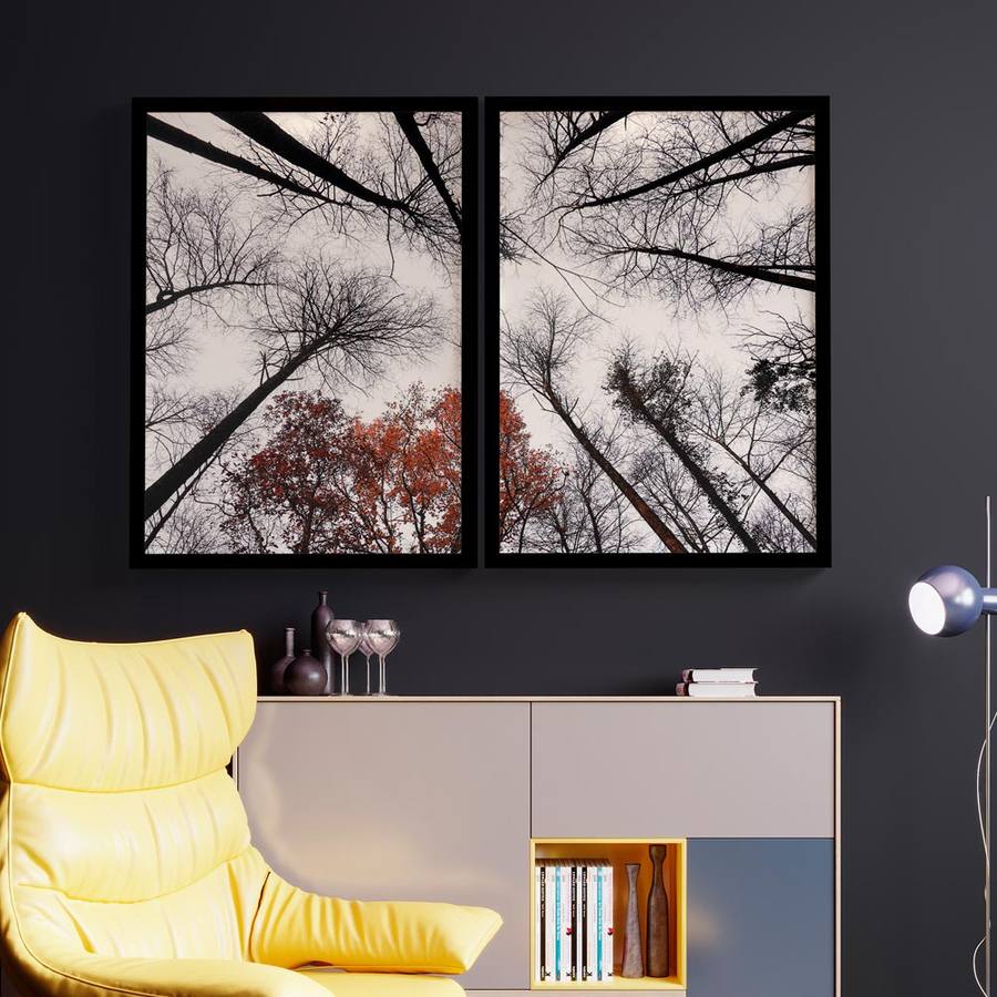 Kit Quadros Decorativos Floresta | Wallze