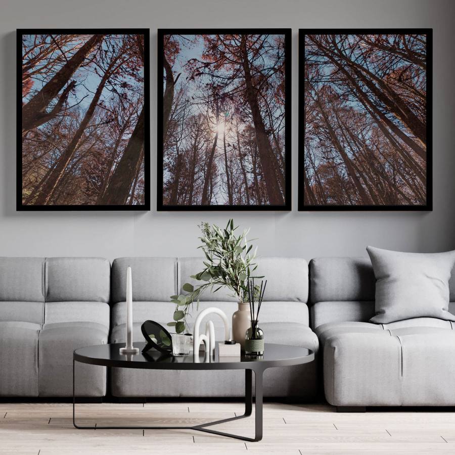 ambiente-kit-quadros-paisagem-auracaria-moldura-preta