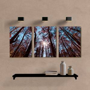 Kit Quadros Decorativos Paisagem Araucária - imagem 6
