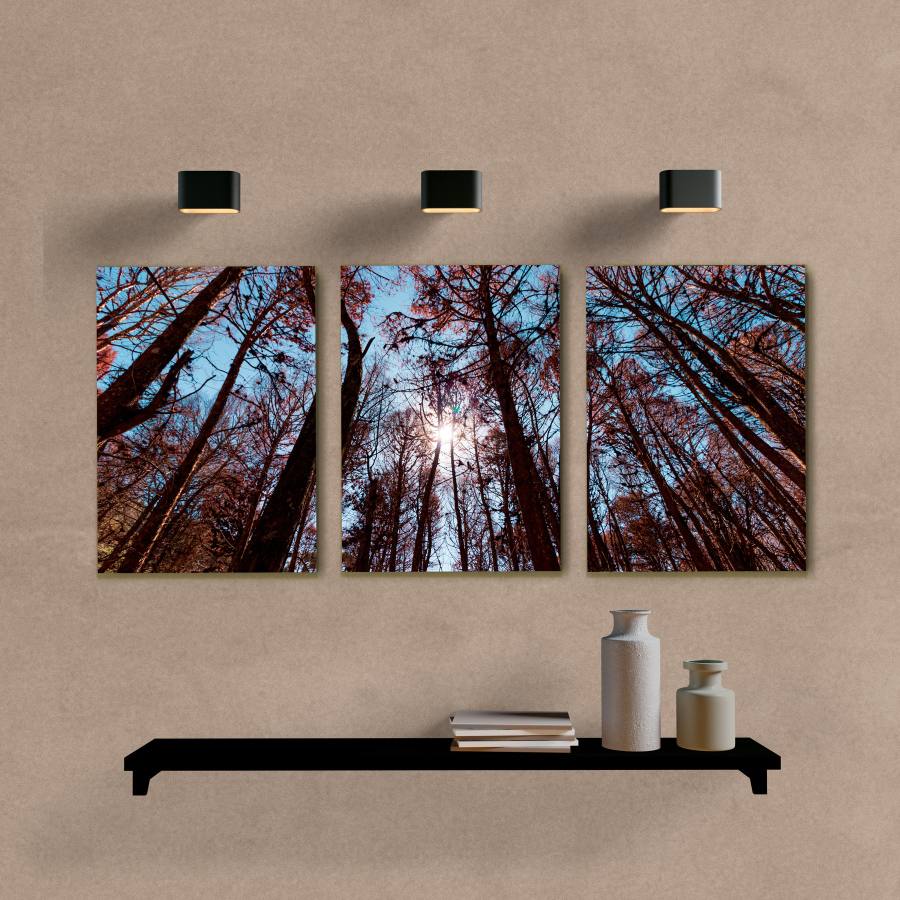 Kit Quadros Decorativos Paisagem Araucária - imagem 6