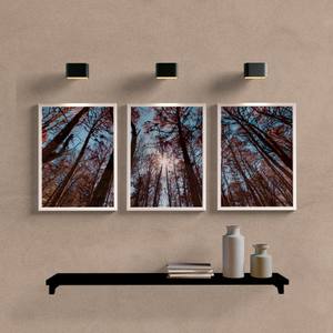 Kit Quadros Decorativos Paisagem Araucária - detalhe da moldura e acabamento