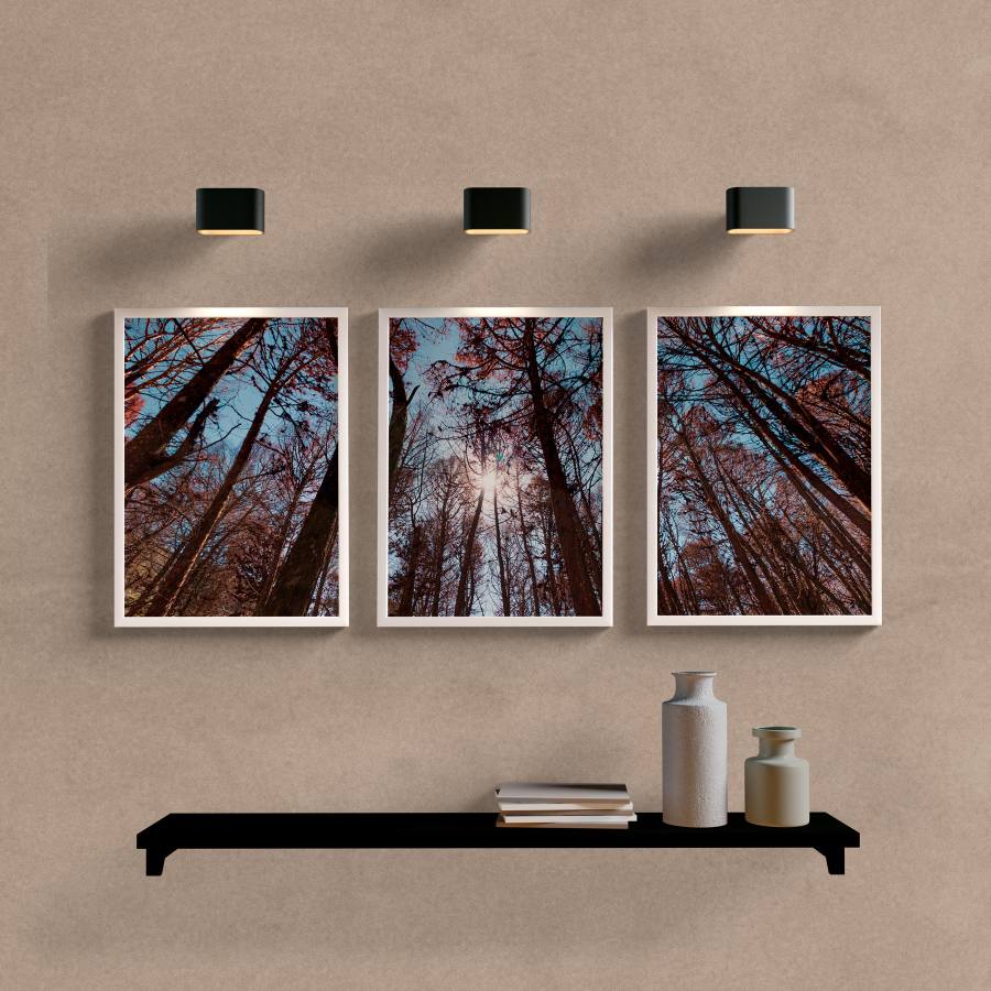 Kit Quadros Decorativos Paisagem Araucária - detalhe da moldura e acabamento