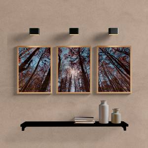 Kit Quadros Decorativos Paisagem Araucária - vista aproximada da impressão