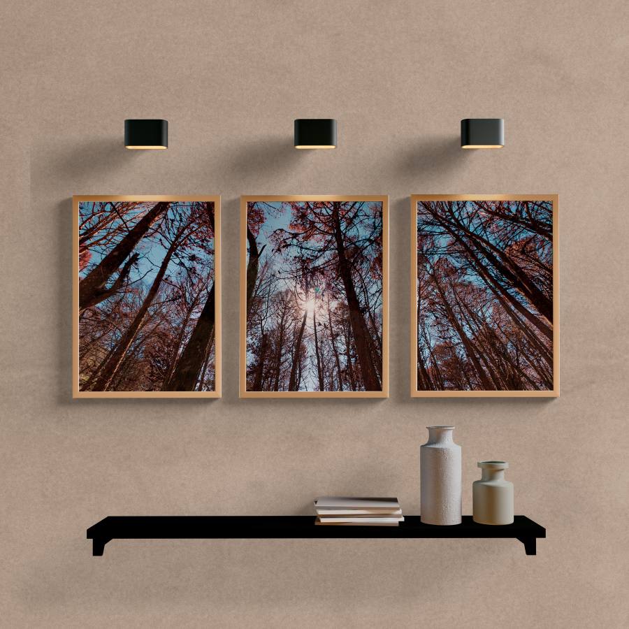 Kit Quadros Decorativos Paisagem Araucária - vista aproximada da impressão