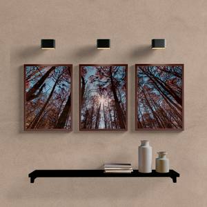 Kit Quadros Decorativos Paisagem Araucária - imagem 5
