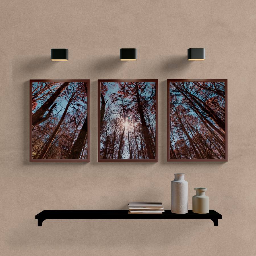Kit Quadros Decorativos Paisagem Araucária - imagem 5