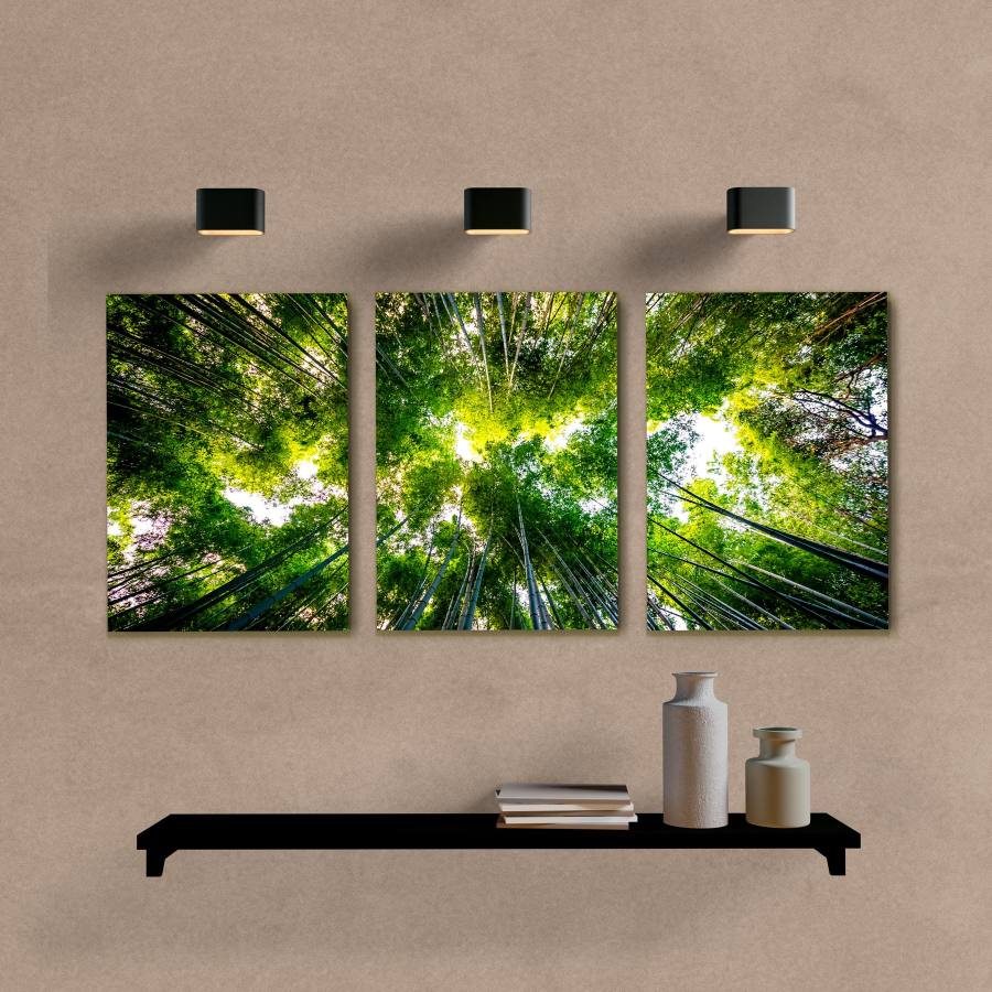Kit Quadros Decorativos Paisagem Bamboo - imagem 6