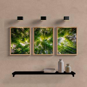 Kit Quadros Decorativos Paisagem Bamboo - vista aproximada da impressão