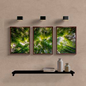 Kit Quadros Decorativos Paisagem Bamboo - imagem 5