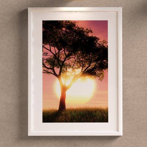 Quadro Árvore Por do Sol