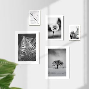 Kit Quadros Decorativos Plantas P&B - imagem 5