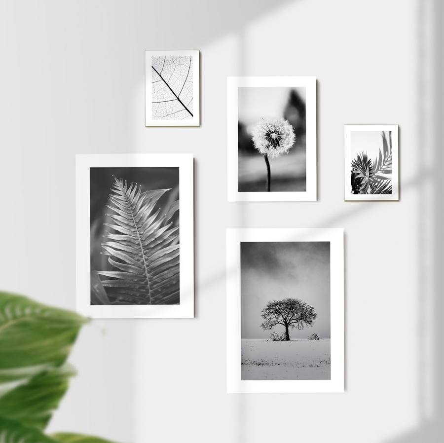 Kit Quadros Decorativos Plantas P&B - imagem 5