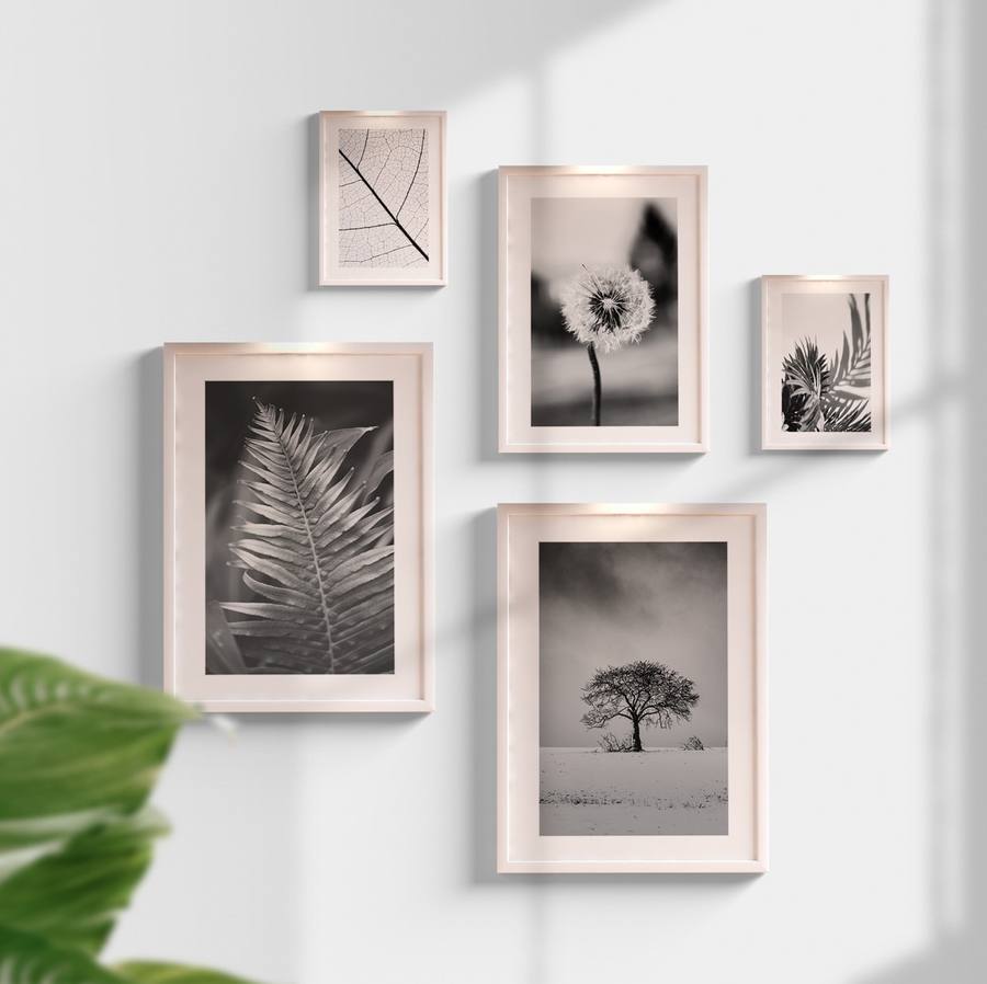 Kit Quadros Decorativos Plantas P&B - detalhe da moldura e acabamento