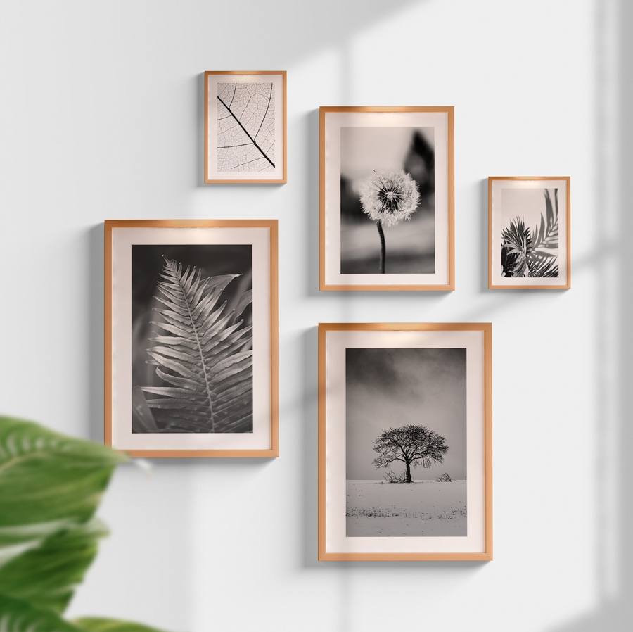 Kit Quadros Decorativos Plantas P&B - quadro decorativo em ambiente decorado