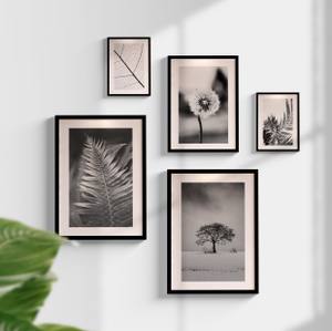 Kit Quadros Plantas P&B