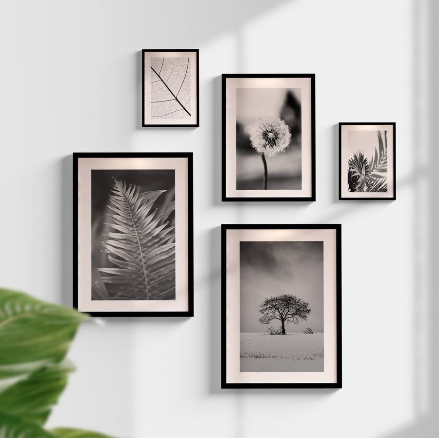 Kit Quadros Plantas P&B
