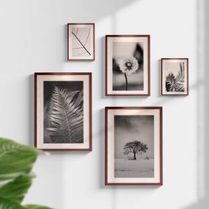 Kit Quadros Decorativos Plantas P&B - vista aproximada da impressão