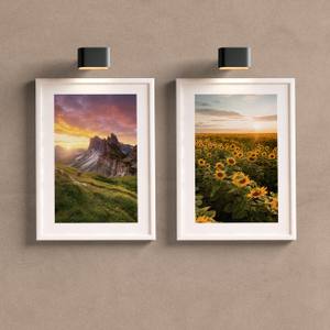 Kit Quadro de Girassol