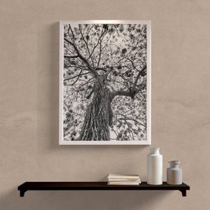 Quadro Decorativo Árvore P&B - detalhe da moldura e acabamento