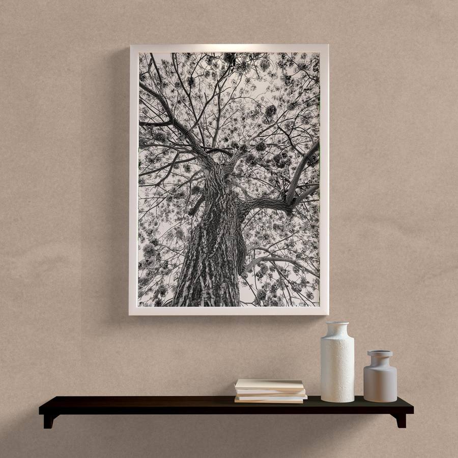 Quadro Decorativo Árvore P&B - detalhe da moldura e acabamento
