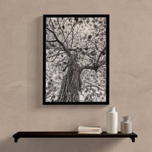 Quadro Decorativo Arvore