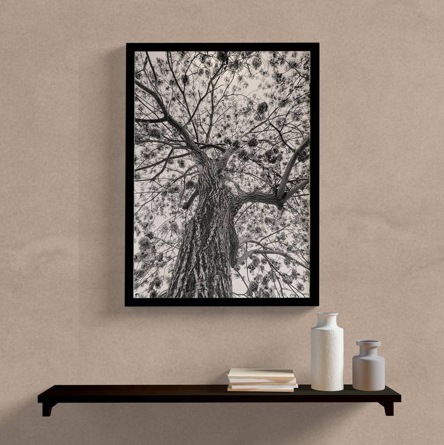 Quadro Decorativo Arvore